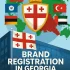 راهنمای جامع ثبت برند در گرجستان: مراحل، مدارک و هزینه‌ها